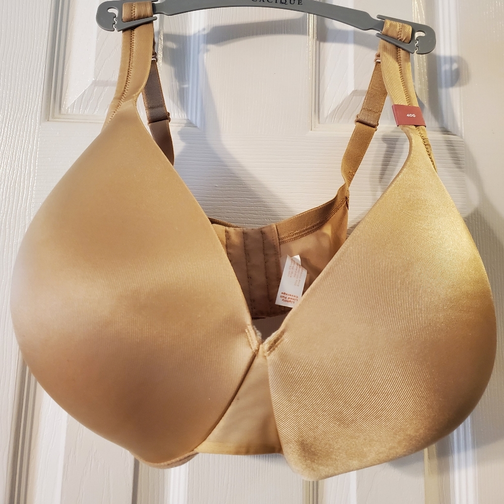 Lane Bryant Cacique Bra, size 40G